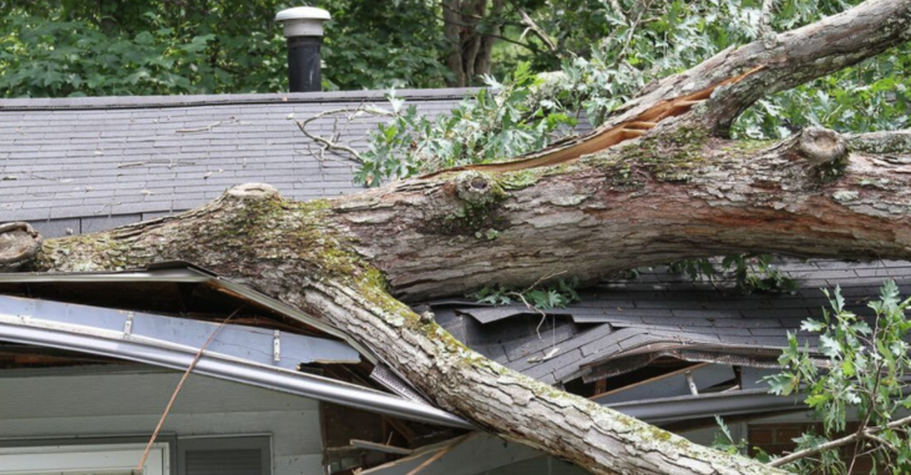 Un árbol cayó sobre una casa tras una tormenta en Longueuil. Será retirado por Emondage Longueuil Pro.