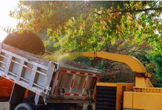 Shredding of branches in Longueuil. The work is carried out by Emondage Longueuil Pro