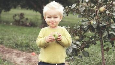 Un niño prueba una manzana recién cogida de un manzano en la propiedad de sus padres en Longueuil